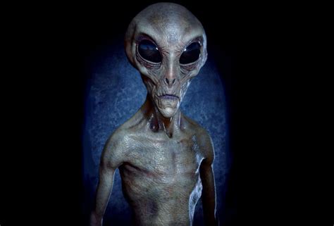 Beware Experts Claim These Are The 4 Most Hostile Alien Species