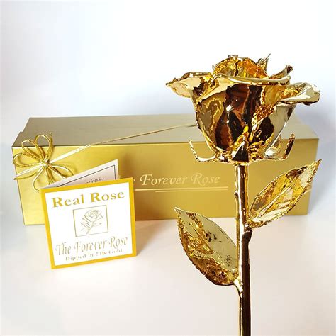 24k Gold Dipped Real Rose W Gold T Box 6289905660326 Ebay