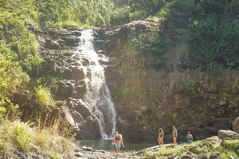 Explore And Hike Waimea Valley In Oahu This Hawaii Life
