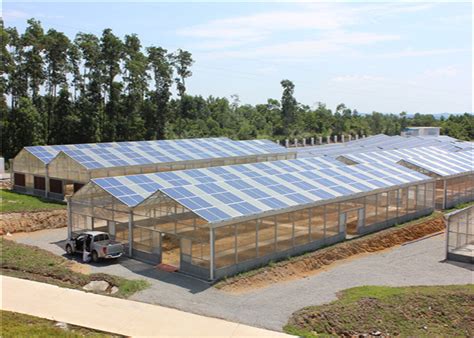 Roof Mounted Greenhouse Solar System Photovoltaic Power Plants