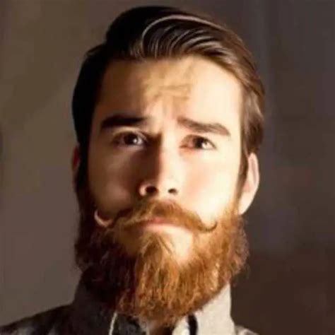 Verdi Beard Styles Best New Looks For Men Bald Beards