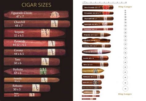 The Cigar Guide I History Making And Humidors