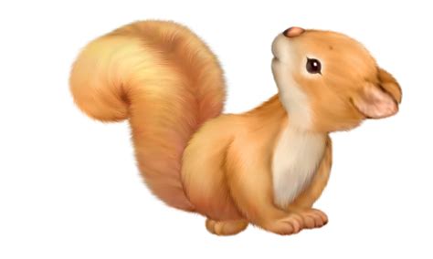 Cute Squirrel Free Clipart Gallery Yopriceville High Quality Images