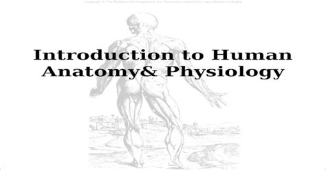 Introduction To Human Anatomyand Physiology Ppt Powerpoint