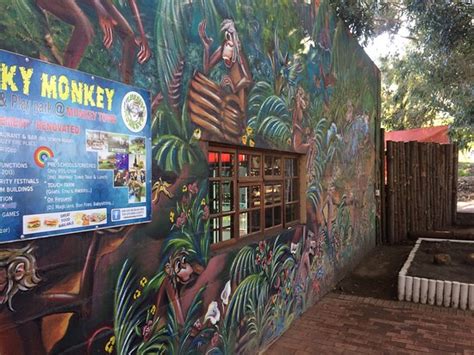 Monkey Town Primate Centre Somerset West All You Need To Know