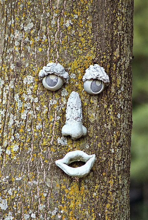 Tree Face Photograph By Amber Snead
