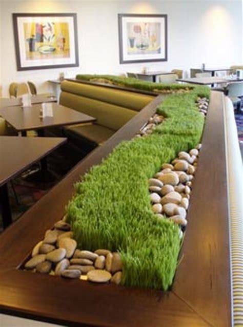 Tips To Grow Grass Indoors Top Dreamer