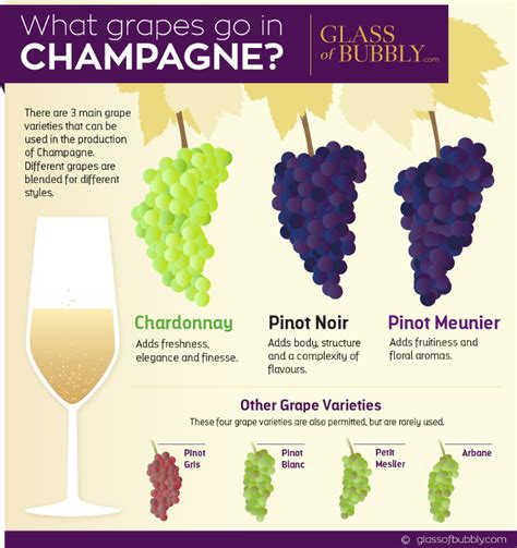 Maybe you would like to learn more about one of these? Understanding Champagne Jargon | Glass Of Bubbly