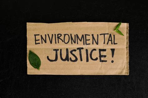 Environmental Justice Ecological And Climate Justice Concept People