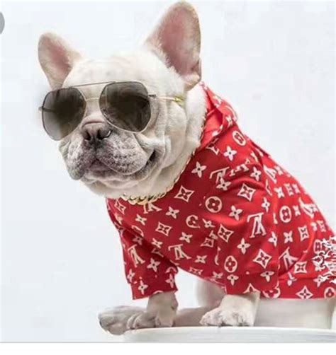 A great gift for someone special, such as mom，kids, girlfriend，boyfriend. LV Louis Vuitton supreme dog hoodie for Sale in FL, US ...
