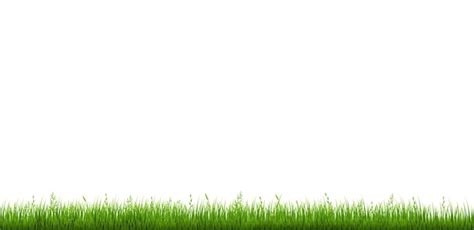 Premium Vector Green Grass Border And