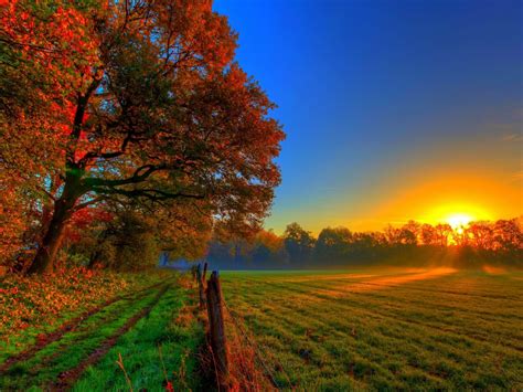 Autumn Sunset Scenery Hd Wallpaper Preview