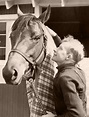 Seabiscuit - RED POLLARD