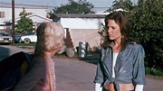 The Working Girls (1974)
