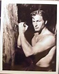 Lex Barker | Tarzan actors, Tarzan, Tarzan movie