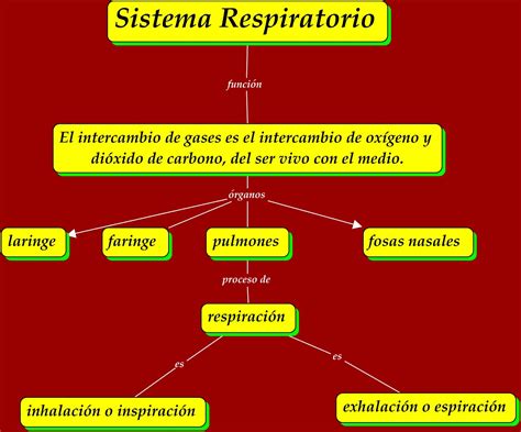 Sistema Respiratorio Mapa Conceptual