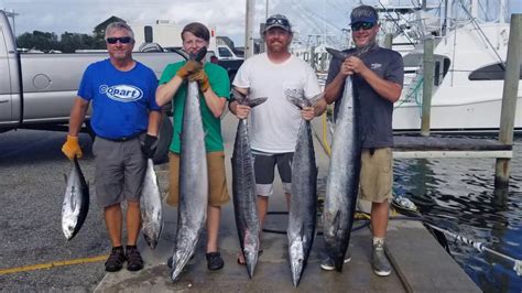 Blackfin And Wahoo Fishing Off Hatteras Youtube