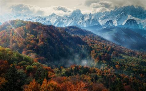 배경 화면 2000x1250 픽셀 알프스 산맥 구름 가을 숲 경치 안개 아침 자연 눈 덮인 피크 태양 광선