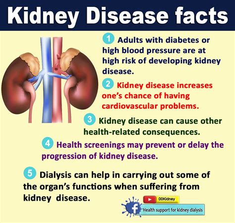 How To Stop Kidney Failure