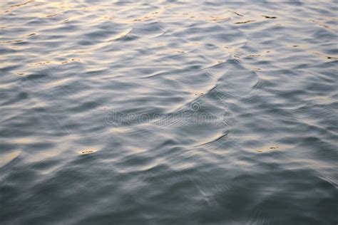 Water Ripple On Lake Surface Stock Photo Image Of Freshness