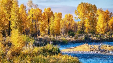 Top 10 Best Spots For Leaf Peeping This Fall In Jackson Hole