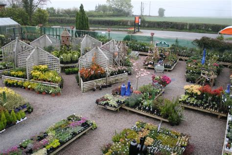 Garden centre - Lyonshall Nurseries and Garden Centre | Herefordshire