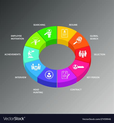 Human Resources Infographics Design Timeline Vector Image
