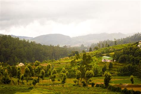 6 Stunning National Parks In Kerala Everything You Need To Know About