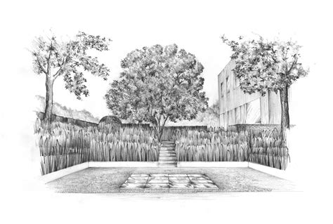 Long Island Garden Grass Amphitheatre Pencil Drawing Alan Hughes