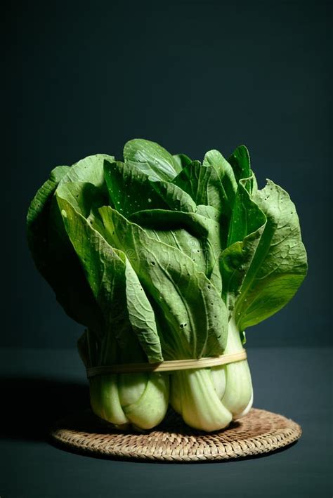 Organic Bok Choy Or Pak Choi Chinese Cabbage Stock Image Image Of