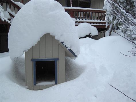 Snow Dog House Flickr Photo Sharing