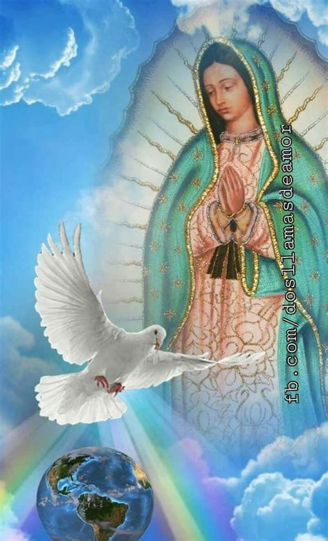 Virgen De Guadalupe Virgen De Guadalupe Fotos Imagenes Virgen De My Xxx Hot Girl