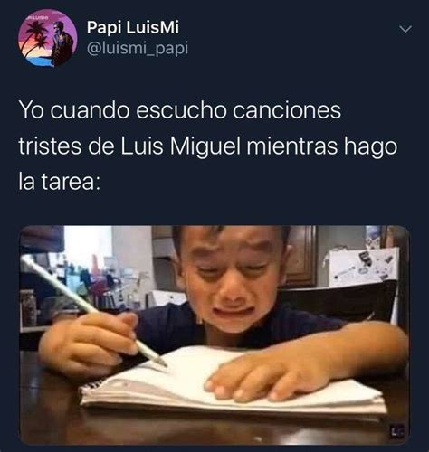 Pin De Elizabeth Melo En I Memes Luis Miguel En 2020 Canciones Papi