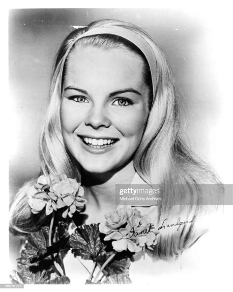 Actress Janet Landgard Poses For A Portrait In Circa 1962 News Photo
