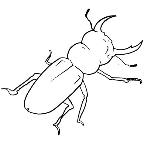 stag beetle coloring page free printable coloring pag