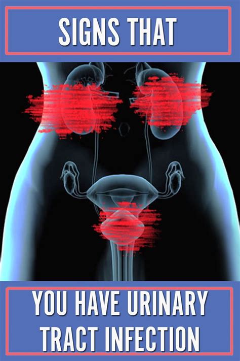 Urinary Tract Infections Utis In Women Healthcondition Urinary Tract Infection Urinary