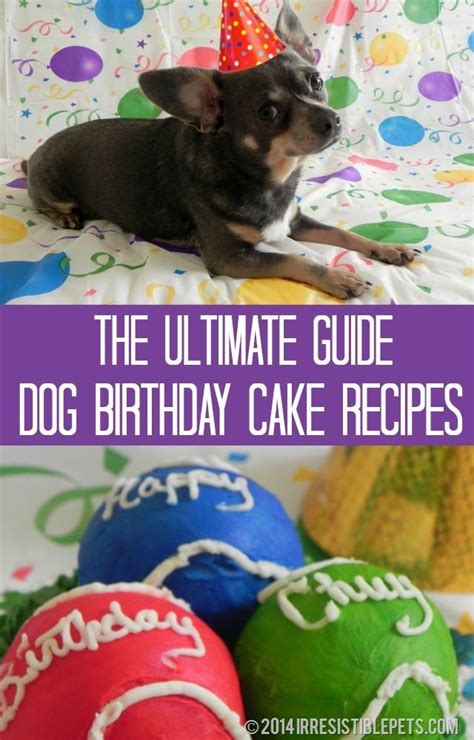 The Ultimate Guide To Dog Birthday Cake Recipes By