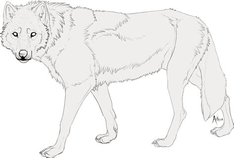 Free Wolf Lineart By Akaiia On Deviantart