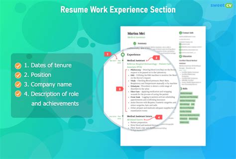 Resume Work Experience How To Write Employment History Section