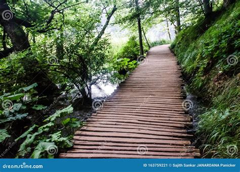 A Lonely Wooden Path Inside The Forest Stock Image Image Of Fence