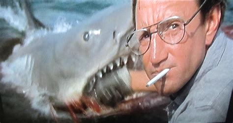 An Unpublished Interview With Roy Scheider On Jaws Huffpost