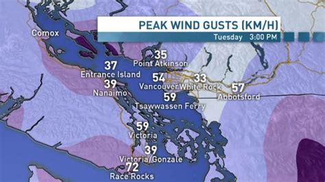 Gusting Winds Leave Thousands Without Power Across Lower Mainland Cbc