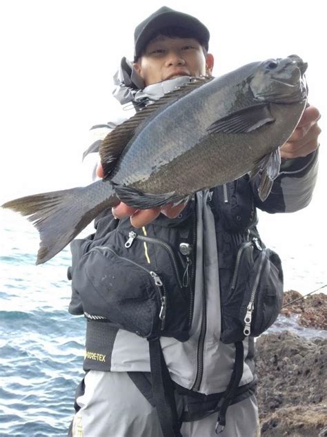 激熱！東伊豆地磯でメジナ、良型ハタ、尺メバルなど沢山釣れました！｜釣具のイシグロ 釣り情報サイト