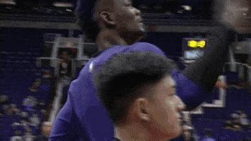 Баскетбольный клуб финикс санс (phoenix suns) год основания: Phoenix Suns Dance GIF by NBA - Find & Share on GIPHY