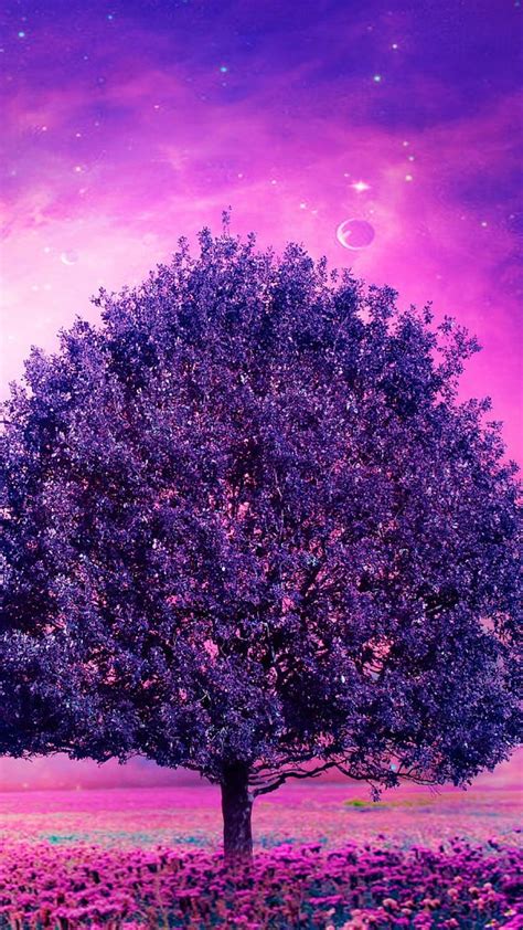 1920x1080px 1080p Free Download Purple Tree Nature Colorful Hd
