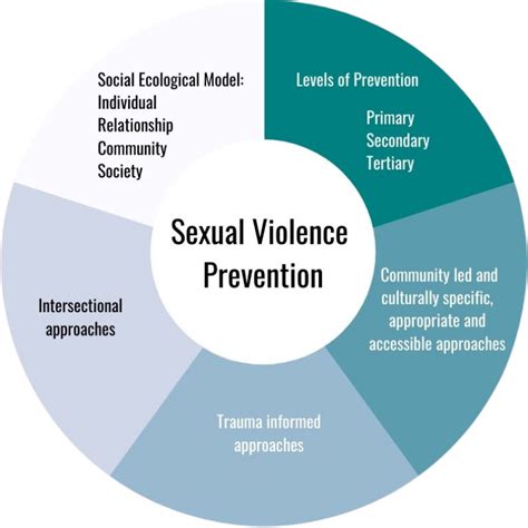 Sexual Violence — Nasasv