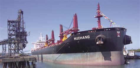 Bulk Carrier Bulker