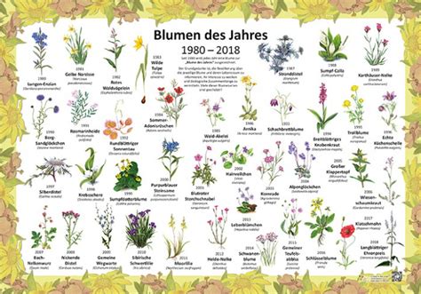 Blumen Des Jahres 1980 2018 50x70 And 70x100 Cm Pflanzen Lehrtafeln