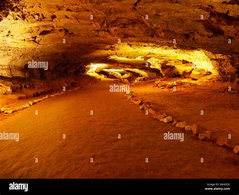 Cleveland Avenue Tour Mammoth Cave National Park Park City Kentucky