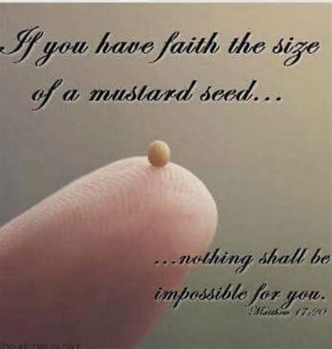 Pin By Curtis Foreman On Biblical With Images Mustard Seed Faith